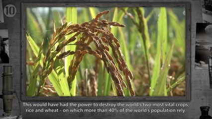 Top 10 Science Experiments That Could Have Ended The World