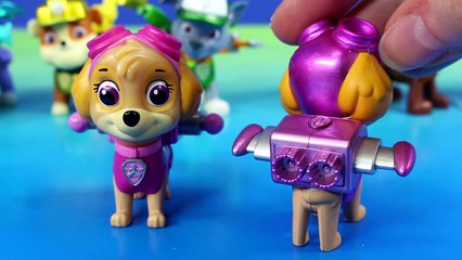 Nickelodeon Paw Patrol Limited Edition Action Pack Pups Metallic Series Marshall Chase Roc