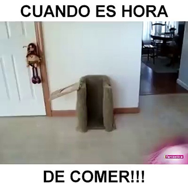 Hora de comer