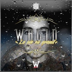Walid - La Vie En Grand (Audio)