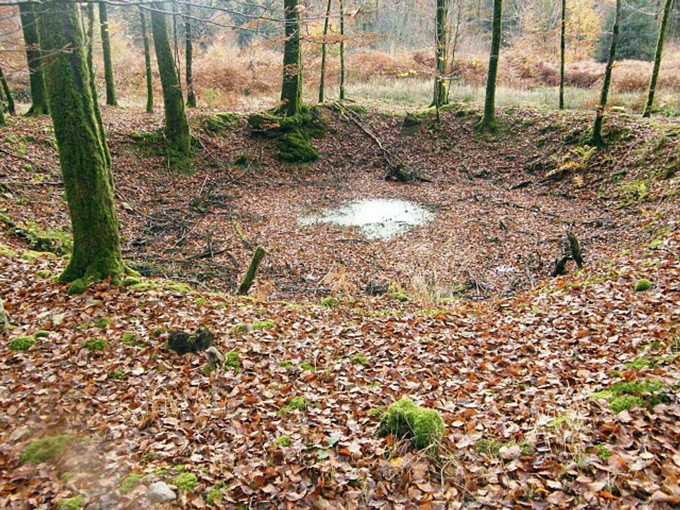 La Ferté-Macé/ Bagnoles de L'Orne. Vidéo 1 de mes trouvailles en forêt d'Andaines