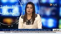 صناعة  صنع بالجزائر.. صراع من أجل البقاء