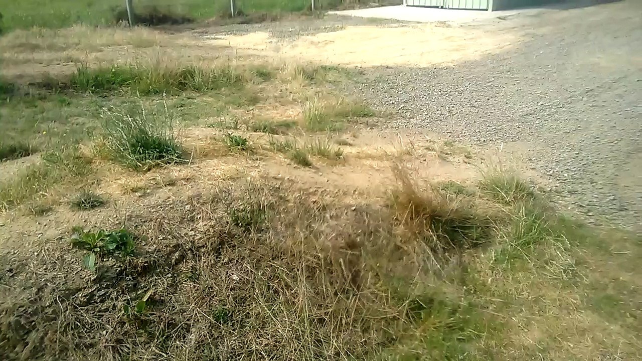 saut quad speedbird 110cc chinois part2