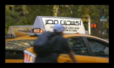 اهمال مستشفى السنبلاوين القطط تتجول بامان تام