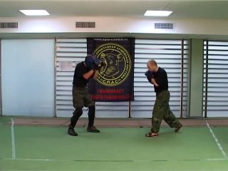 Основы рукопашного боя С П А С часть 37