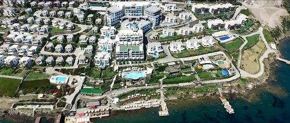 Serdar Ortaç - Nankör