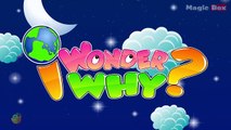 Why Does The Moon Change Shape? - I Wonder Why - Amazing & Interesting Fun Facts Video For Kids