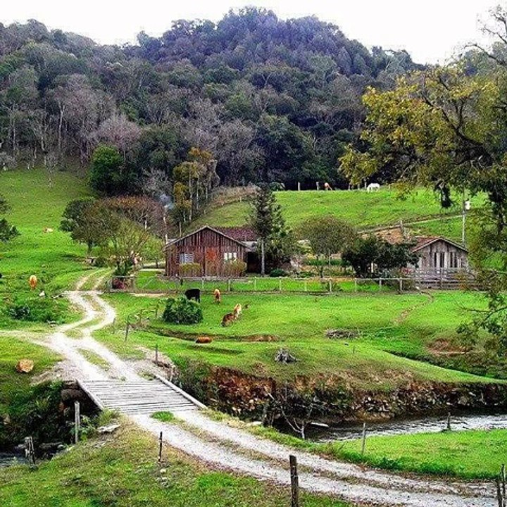 NATURE AWESOME