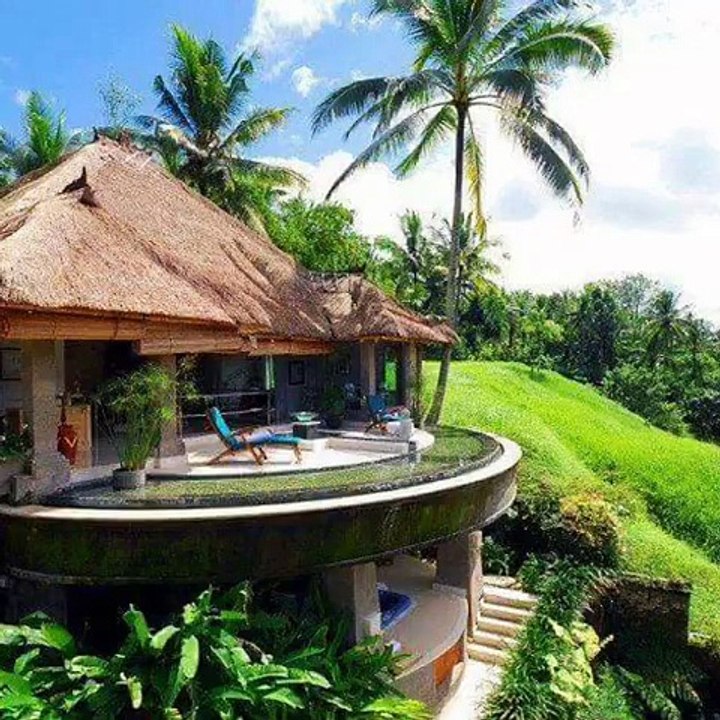 Indonesia heart