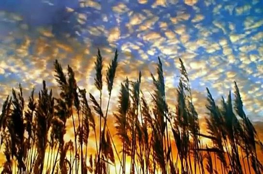 Zeki MÜREN Dünya Yansa Yorganım Yok İçinde izmank