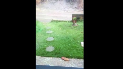 Chove granizo em Vila Valério-ES