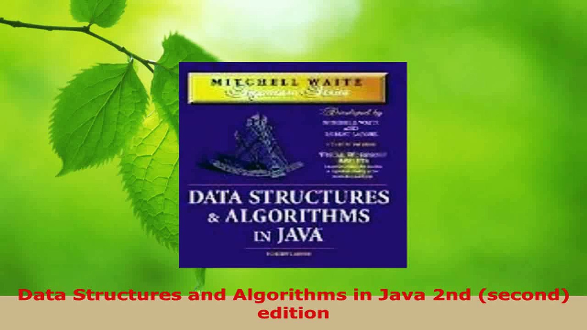 Read  Data Structures and Algorithms in Java 2nd second edition Ebook Free