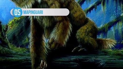 10 Most Mysterious Animal Sightings