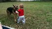 Baby grandson, Ari playing with Max (our German Shepherd).