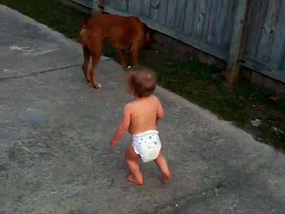 Boxer and Baby