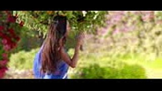 Janib - Female (Dilliwaali Zaalim Girlfriend) Full HD