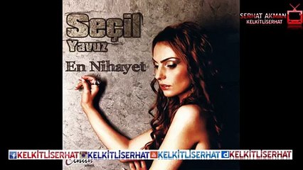 Seçil Yavuz - Rastlayamadım