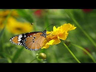 Super Hit Malayalam Christian Devotional song