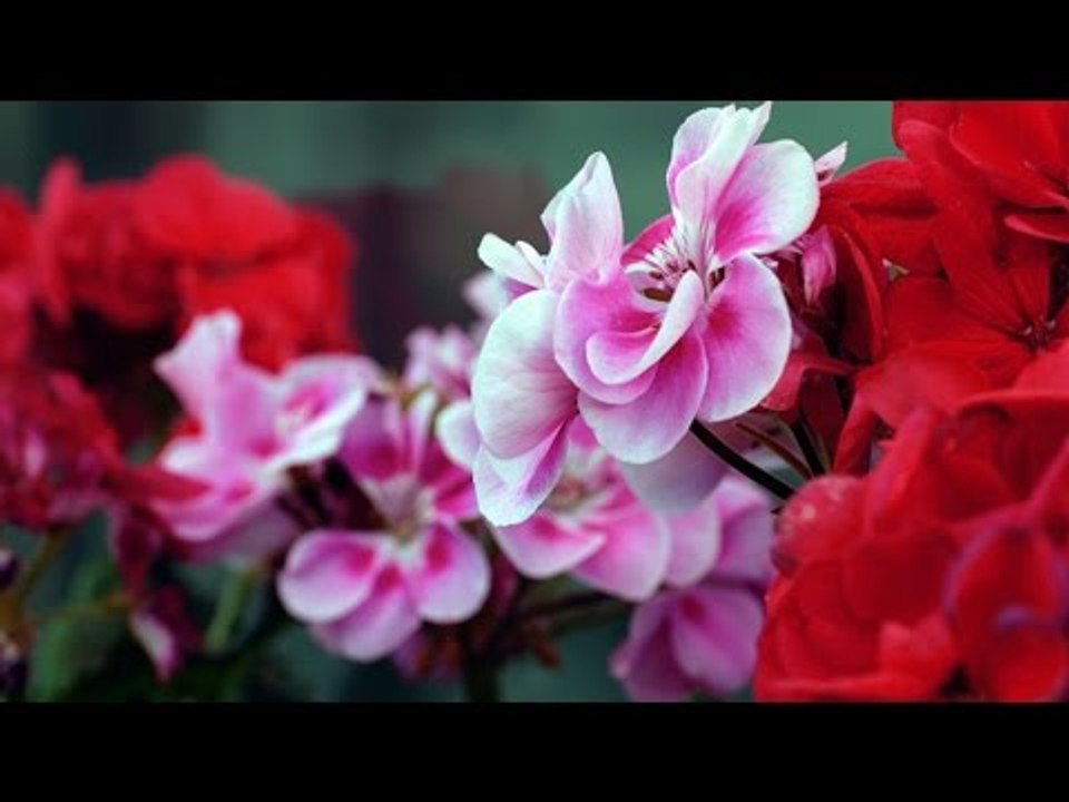 Super Hit Malayalam Christian Devotional song