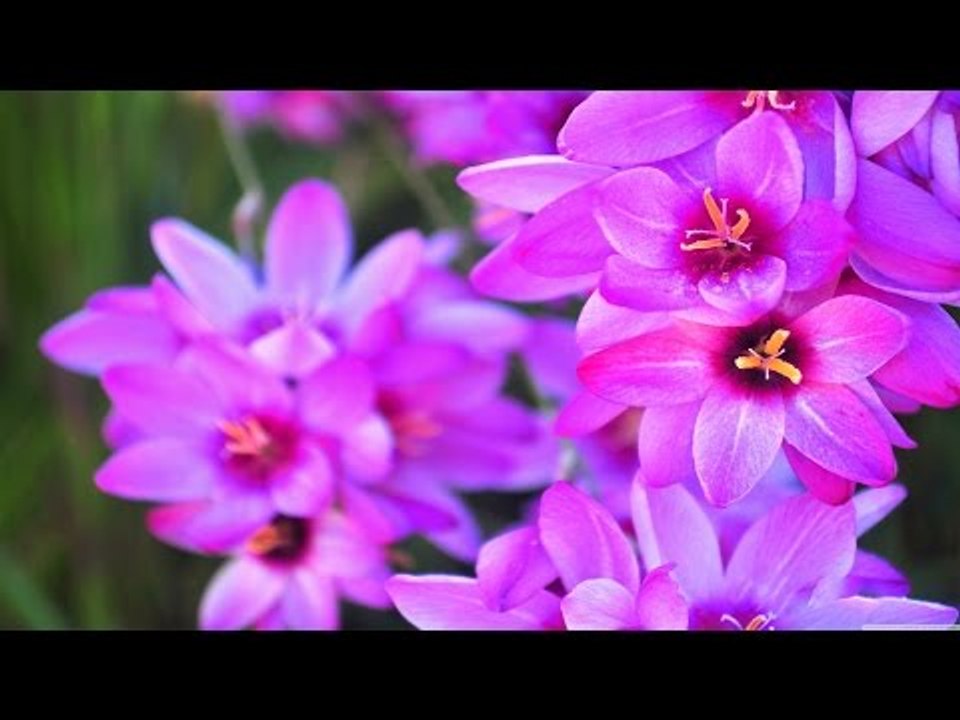 Super Hit Malayalam Christian Devotional song