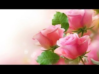 Super Hit Malayalam Christian Devotional song