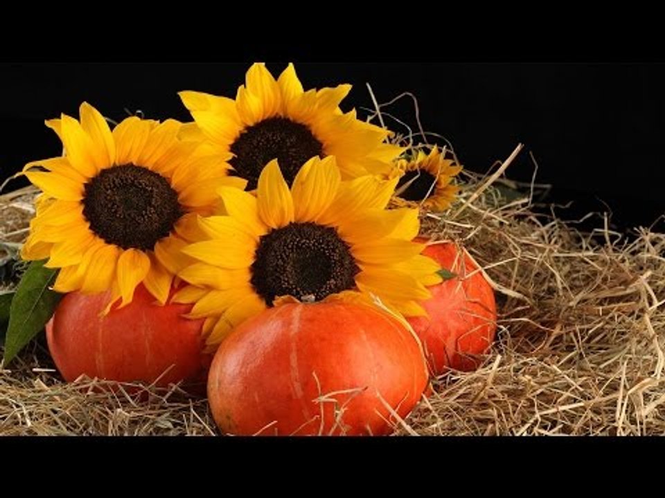 Super Hit Malayalam Christian Devotional song