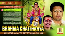 Hindu Devotional Songs Malayalam | Brahma Chaithanyam | Ayyappa Devotional Songs Malayalam Jukebox