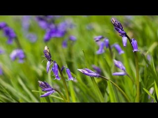 Super Hit Tamil Christian Devotional Song