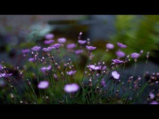 Super Hit Tamil Christian Devotional Song