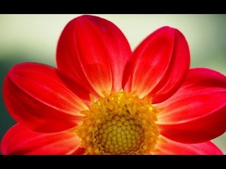 Heart Beat  - The Exquisite Vakulabharanam - Ghatam Karthick