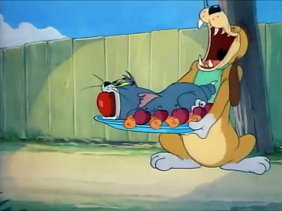 Tom and Jerry, 35 Episode - The Truce Hurts (1948)