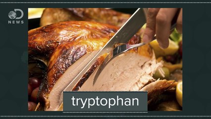 What Really Causes A Food Coma?