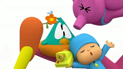 Pocoyo The Best Moments of Sleepy Bird!