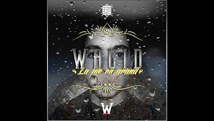 Walid - Tsunami (La Vie En Grand)