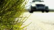 Grease Gun Cars - 2013 Audi Q5 Preview Film