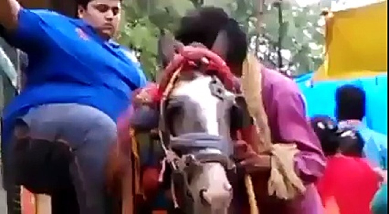 Fat Boy Climbs Horse - So Funny