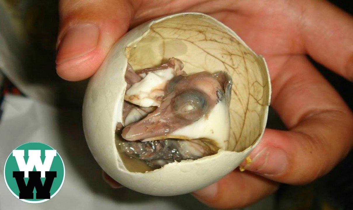 20 Disgusting Foods