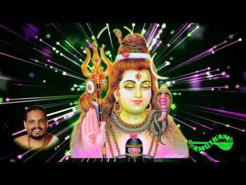 Poorva Narayanam (Purusha Suktham 1) - Mahayanasa Rudram - Raja Vadhyar