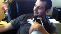 Funny Cute Dogs Love Their Human Owners Compilation 2014 [NEW]
