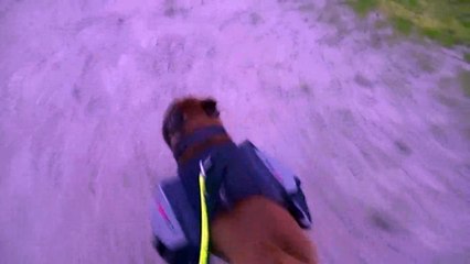 13.2 Canirando à Zuydcoote 2