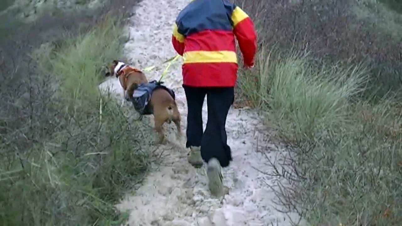 13.2 Canirando à Zuydcoote 3