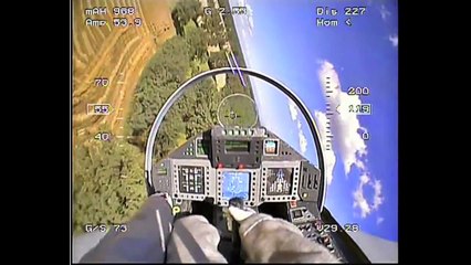Vol en immersion avec une réplique d'avion de combat