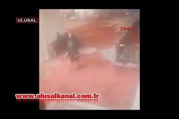 Ressam Nurdan İskender'in son görüntüleri