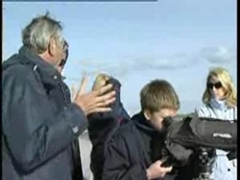 A la découverte de la Baie de Somme(En Picardie)