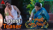 Soggade Chinni Nayana Telugu Movie Latest Teaser __ Nagarjuna, Ramya Krishnan, Lavanya Tripathi
