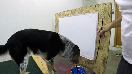 Ce chien peint son nom sur un tableau... Jumpy!!!