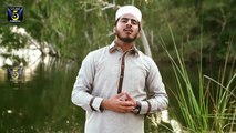 Meri Maa Pyari Maa (Maa Di Shan) Obaidullah Qadri - New Naat Album [2016]