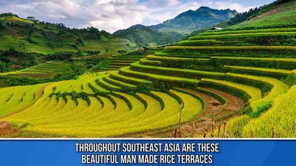 The Worst Black Friday Disasters Video