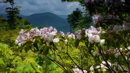 Anne olupta evladına kavusamiyan yada annesine kavusamayanlar Rabbim tez zamanda kavussunlar
