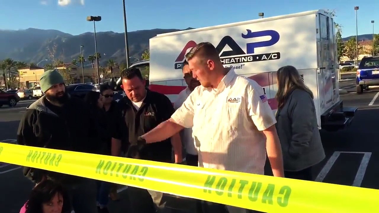 Une équipe passe 33 heures pour sauver un chaton coincé dans un égout